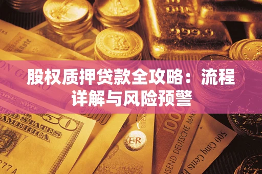 北京股权质押贷款全攻略：流程详解与风险预警