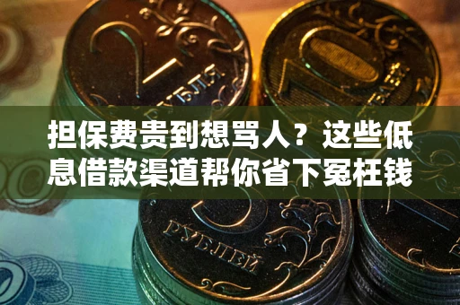 北京担保费贵到想骂人？这些低息借款渠道帮你省下冤枉钱