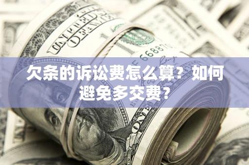 北京欠条的诉讼费怎么算？如何避免多交费？
