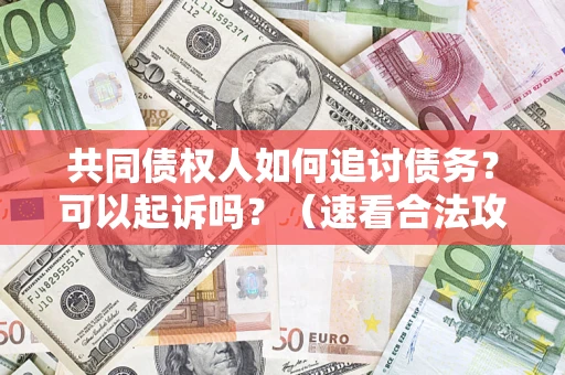 北京共同债权人如何追讨债务？可以起诉吗？（速看合法攻略）
