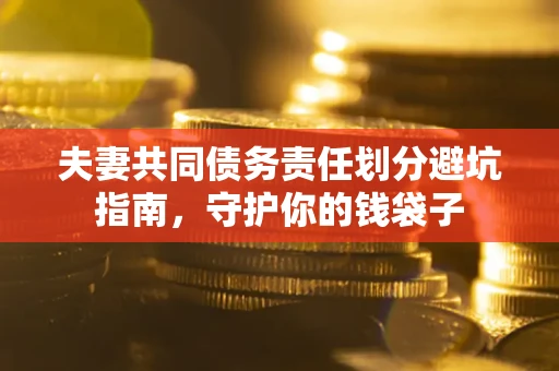 北京夫妻共同债务责任划分避坑指南，守护你的钱袋子