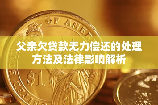 北京父亲欠贷款无力偿还的处理方法及法律影响解析